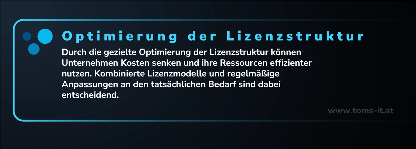Optimierung der Lizenzstruktur zur Senkung von Kosten und effizienter Nutzung von Ressourcen durch kombinierte Lizenzmodelle.